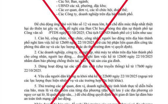 Đà Nẵng bác tin giả cho cán bộ, công chức nghỉ làm, dừng hoạt động chợ vì bão số 12