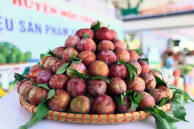 Tăng cường chính sách hỗ trợ và tháo gỡ vướng mắc trong triển khai OCOP- Ảnh 3. Tăng cường chính sách hỗ trợ và tháo gỡ vướng mắc trong triển khai OCOP- Ảnh 3.