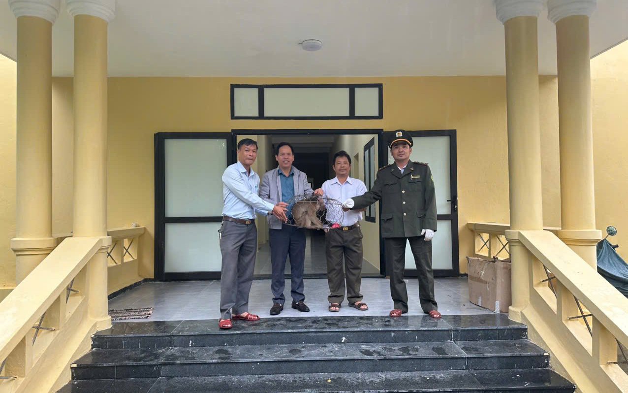 Người dân giao nộp khỉ mặt đỏ, khỉ mốc quý hiếm về rừng- Ảnh 3. Người dân giao nộp khỉ mặt đỏ, khỉ mốc quý hiếm về rừng- Ảnh 3.