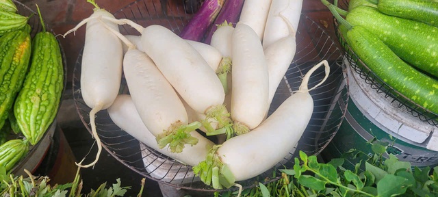 Rau xanh đắt đỏ sau mưa lũ: Chuyên gia hướng dẫn cách đảm bảo dinh dưỡng cho gia đình- Ảnh 2. Rau xanh đắt đỏ sau mưa lũ: Chuyên gia hướng dẫn cách đảm bảo dinh dưỡng cho gia đình- Ảnh 2.