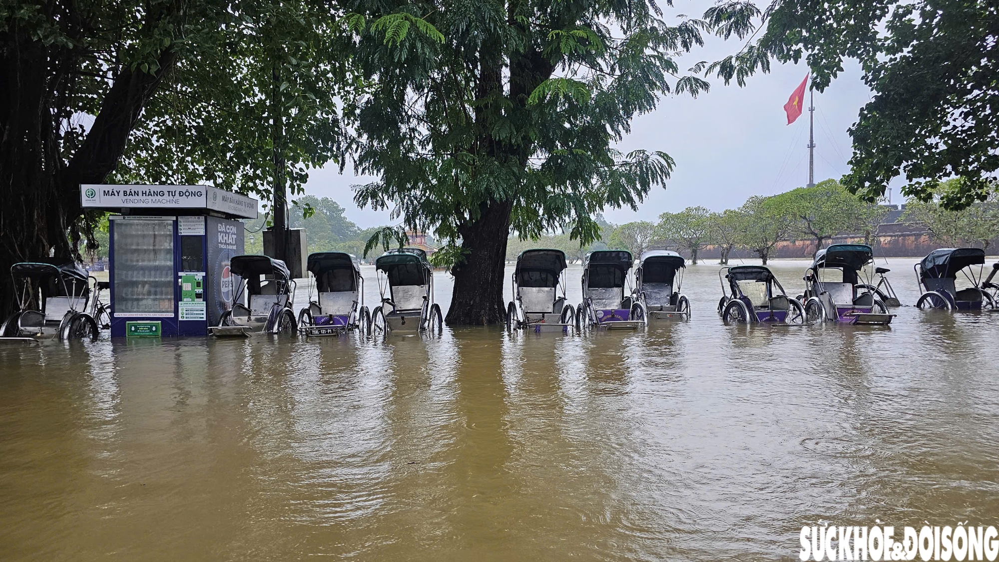 Người dân sống bên Kinh thành Huế: 'Nước lên rất nhanh, có lẽ chỉ thua lũ năm 1999'- Ảnh 6. Người dân sống bên Kinh thành Huế: 'Nước lên rất nhanh, có lẽ chỉ thua lũ năm 1999'- Ảnh 6.