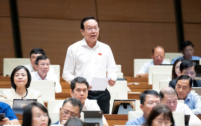 Thiên tai ngày càng khốc liệt, ĐBQH đề nghị giữ rừng, xử lý phá rừng lấy gỗ và làm dự án- Ảnh 4. Thiên tai ngày càng khốc liệt, ĐBQH đề nghị giữ rừng, xử lý phá rừng lấy gỗ và làm dự án- Ảnh 4.