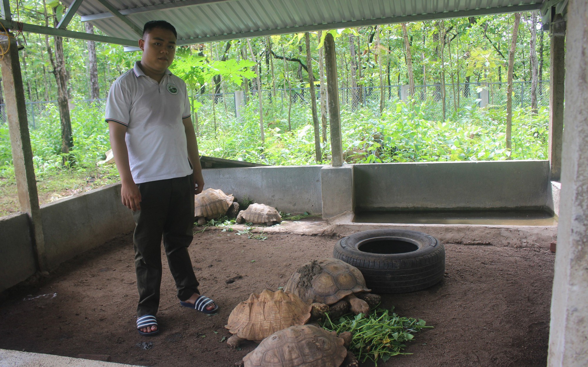 Chuyện về ‘bảo mẫu’ đặc biệt của động vật quý hiếm