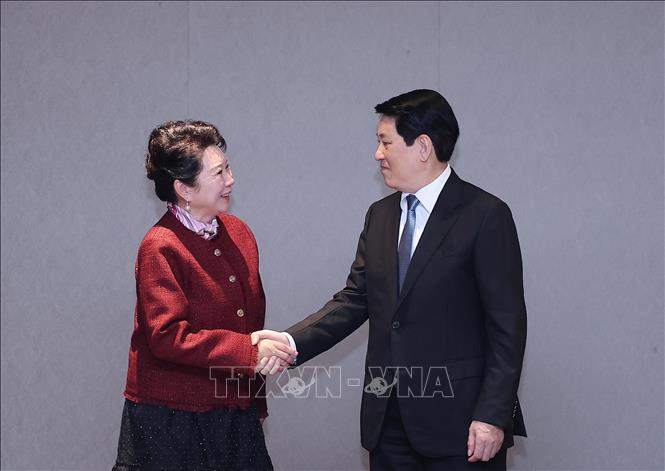 Chủ tịch nước Lương Cường tiếp Nhà sáng lập Tập đoàn MEBO International- Ảnh 1. Chủ tịch nước Lương Cường tiếp Nhà sáng lập Tập đoàn MEBO International- Ảnh 1.