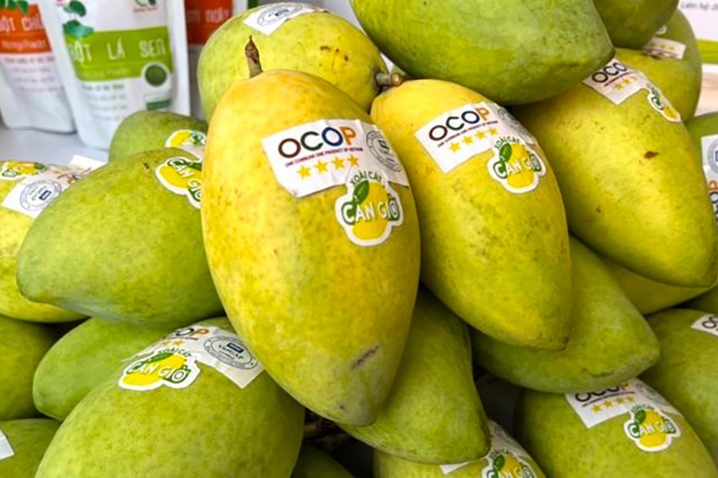 Giải pháp hỗ trợ phát triển sản phẩm OCOP gắn với sức khỏe con người- Ảnh 1. san_pham_ocop_la_gi_9_a4e99e9e20