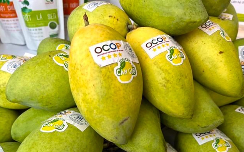 Hải Phòng mở rộng kết nối, đưa sản phẩm OCOP lên sàn thương mại điện tử - Ảnh 3.
