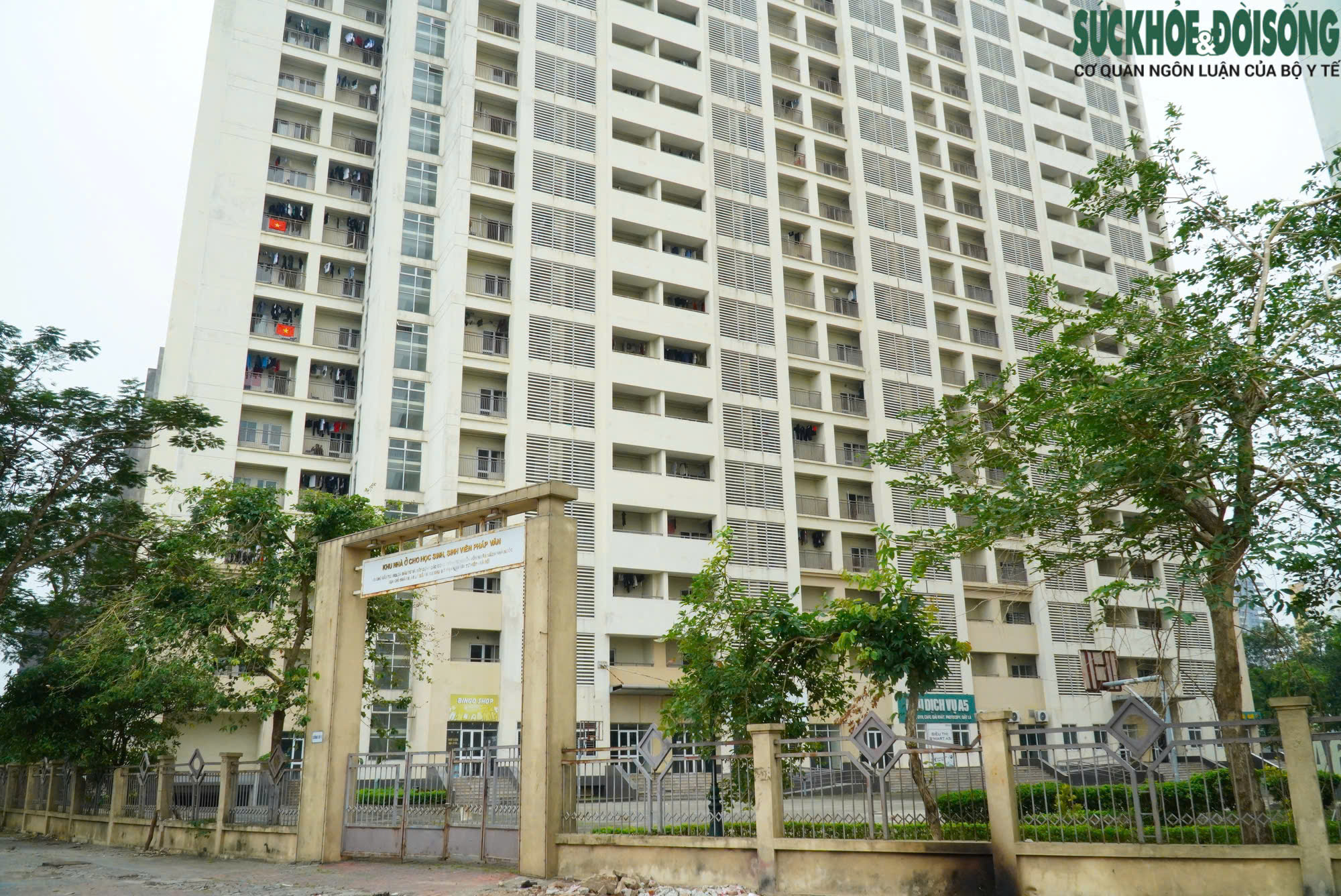 Người độc thân có thu nhập bao nhiêu được mua nhà ở xã hội?- Ảnh 2.