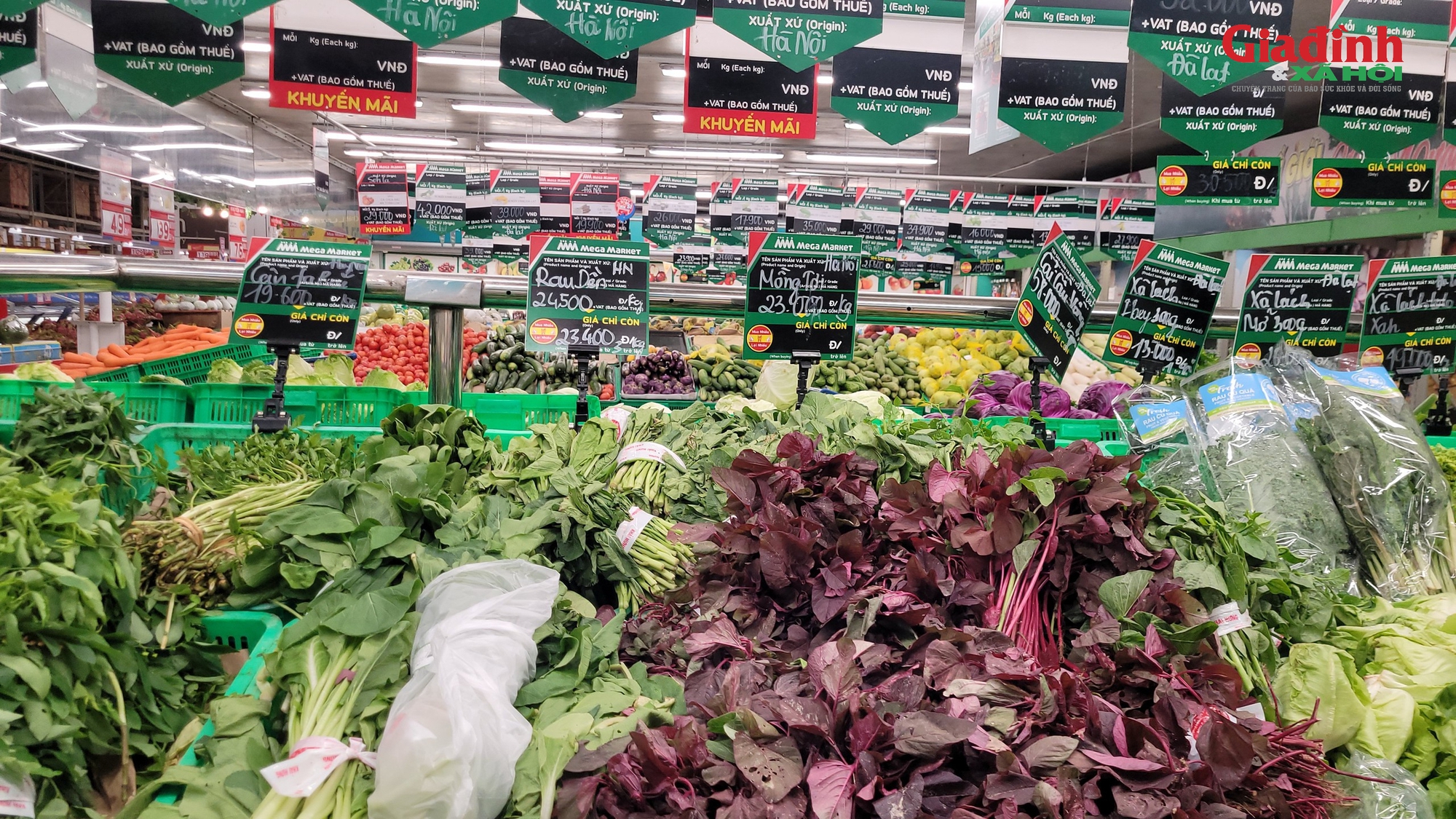 Bão số 11 gây mưa lớn, ngập diện rộng, rau xanh có loại vẫn giữ giá 13.500 đồng/kg- Ảnh 2.