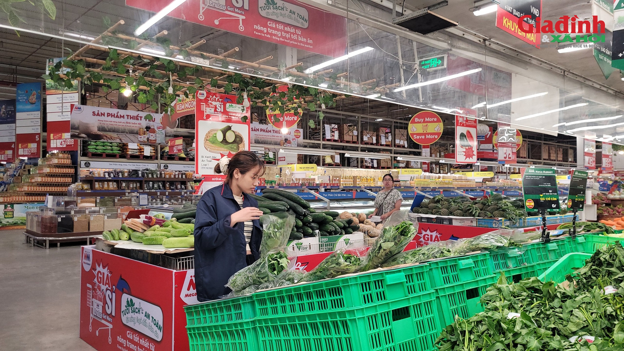 Bão số 11 gây mưa lớn, ngập diện rộng, rau xanh có loại vẫn giữ giá 13.500 đồng/kg- Ảnh 1.