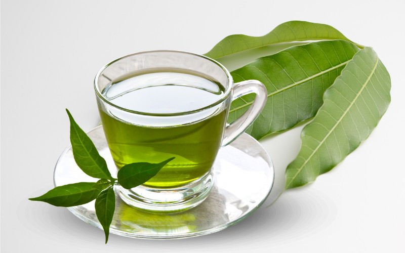 Trà lá xoài – Bí quyết tăng cường chức năng não và trí nhớ