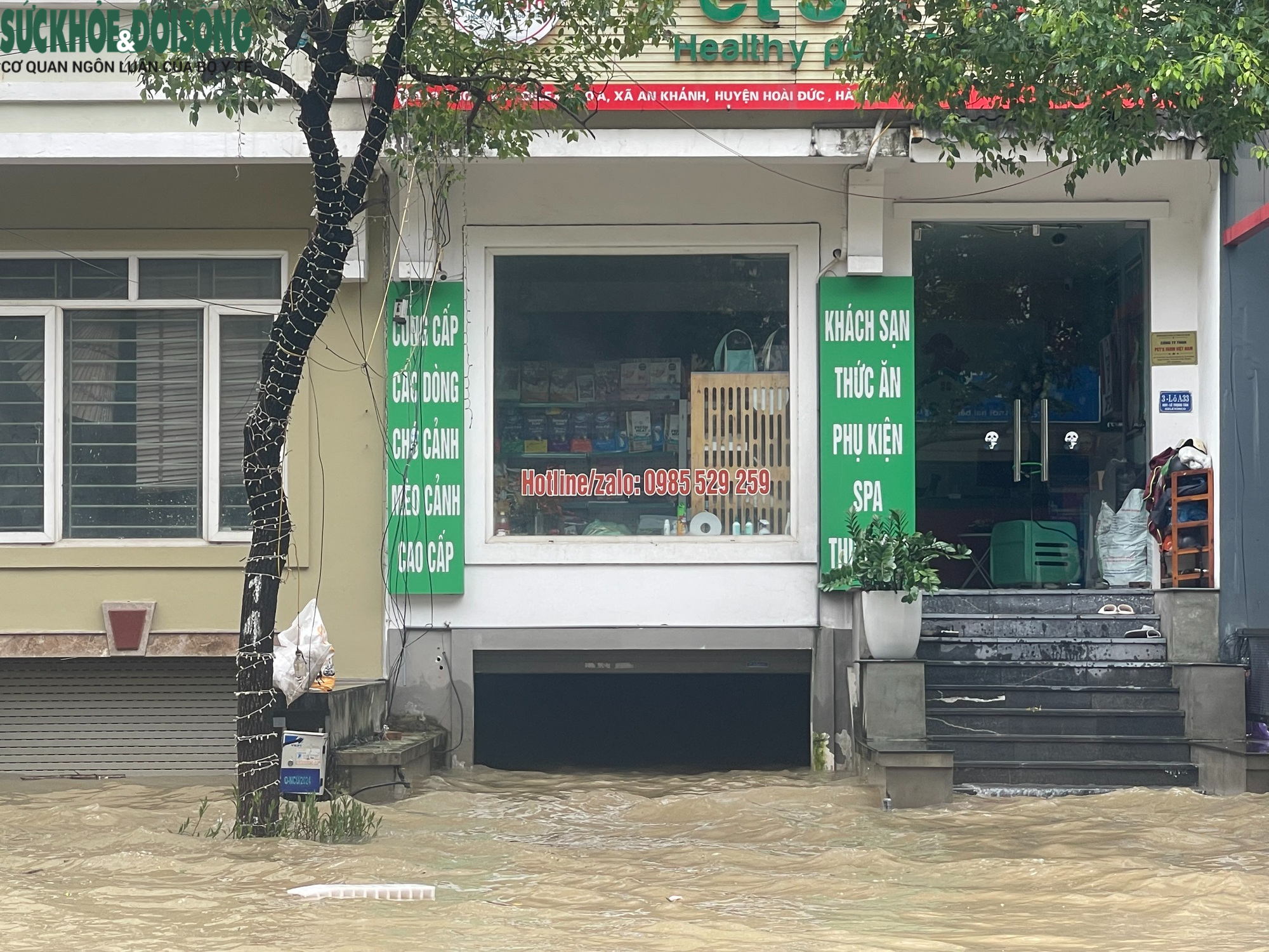 Hà Nội: 'Ốc đảo An Khánh' lại chìm trong biển nước sau mưa- Ảnh 5.