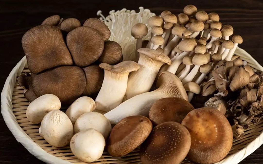 5 loại trái cây hỗ trợ kiểm soát nồng độ axit uric cao- Ảnh 3. 3 loại rau cần tránh ở người tăng axit uric trong mùa mưa