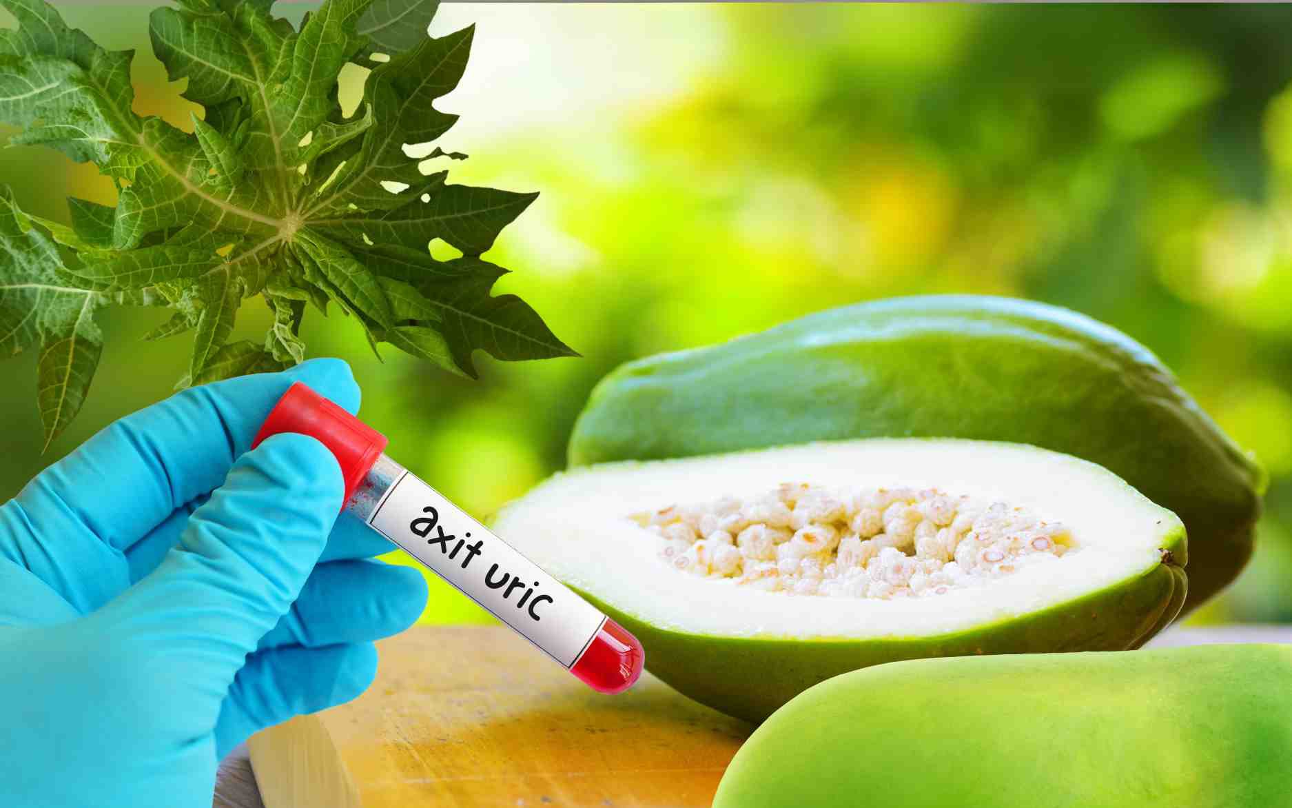 Cách dùng lá trầu không giảm axit uric- Ảnh 3. Cách dùng đu đủ xanh loại bỏ axit uric