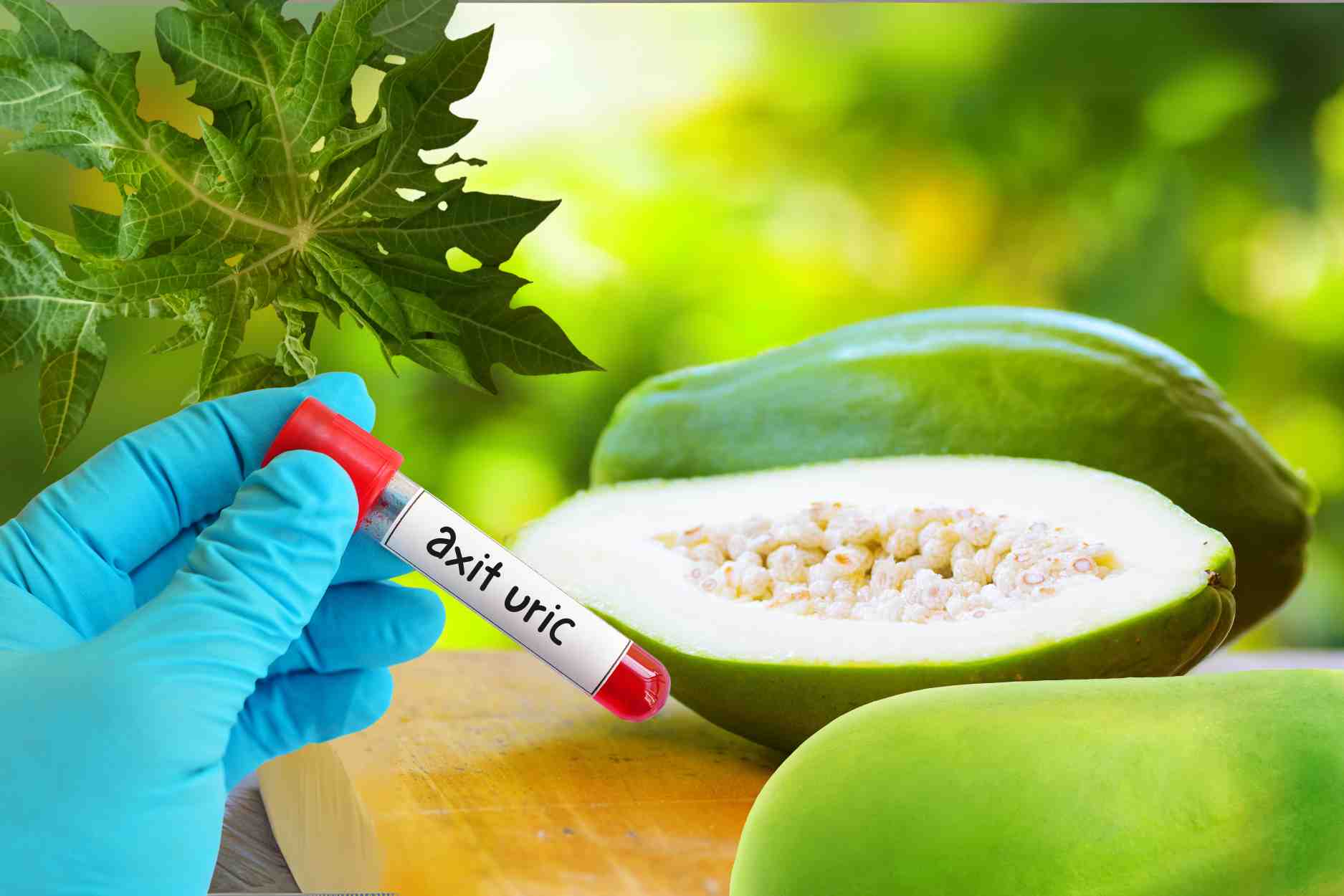 Cách dùng đu đủ xanh loại bỏ axit uric