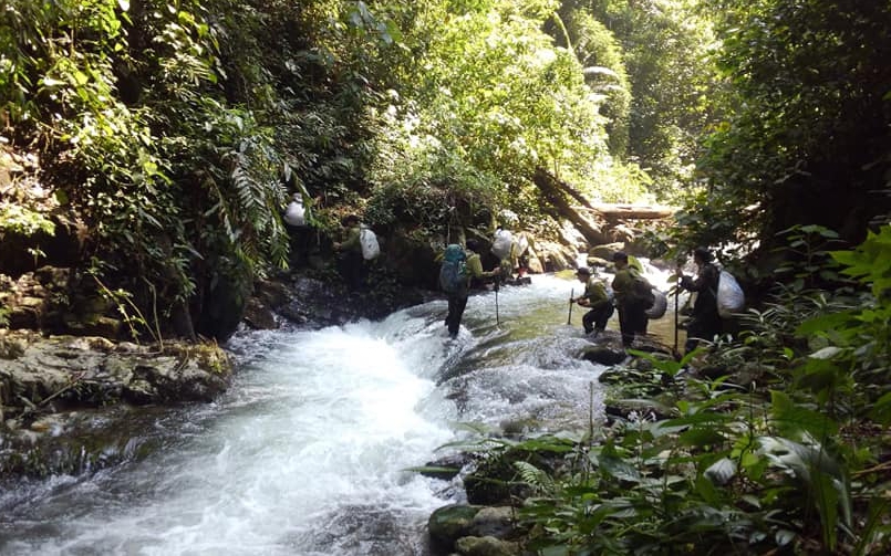 Giữ 'lá phổi xanh' bình yên trong những ngày Tết- Ảnh 7.