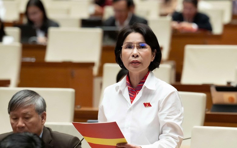 Luật Dân số: Chuyển từ ‘dân số và chính sách kế hoạch hóa gia đình’ sang ‘dân số và phát triển’- Ảnh 3.