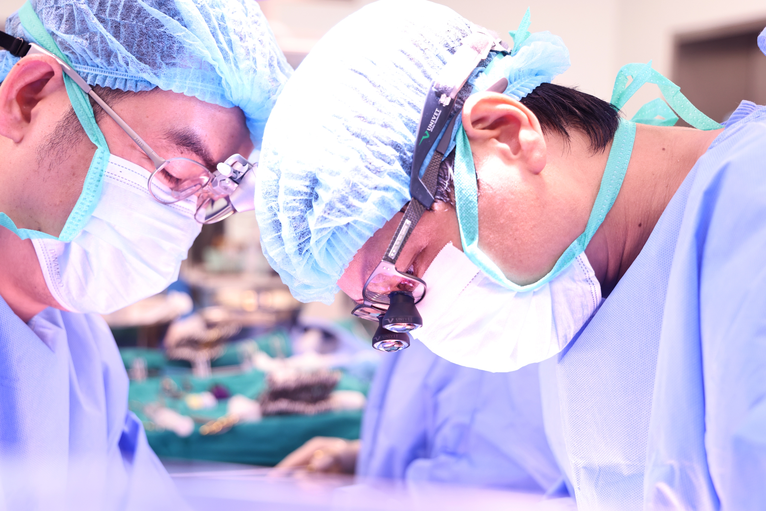 6 người có cơ hội được cứu sống từ một người chết não hiến tạng- Ảnh 1.