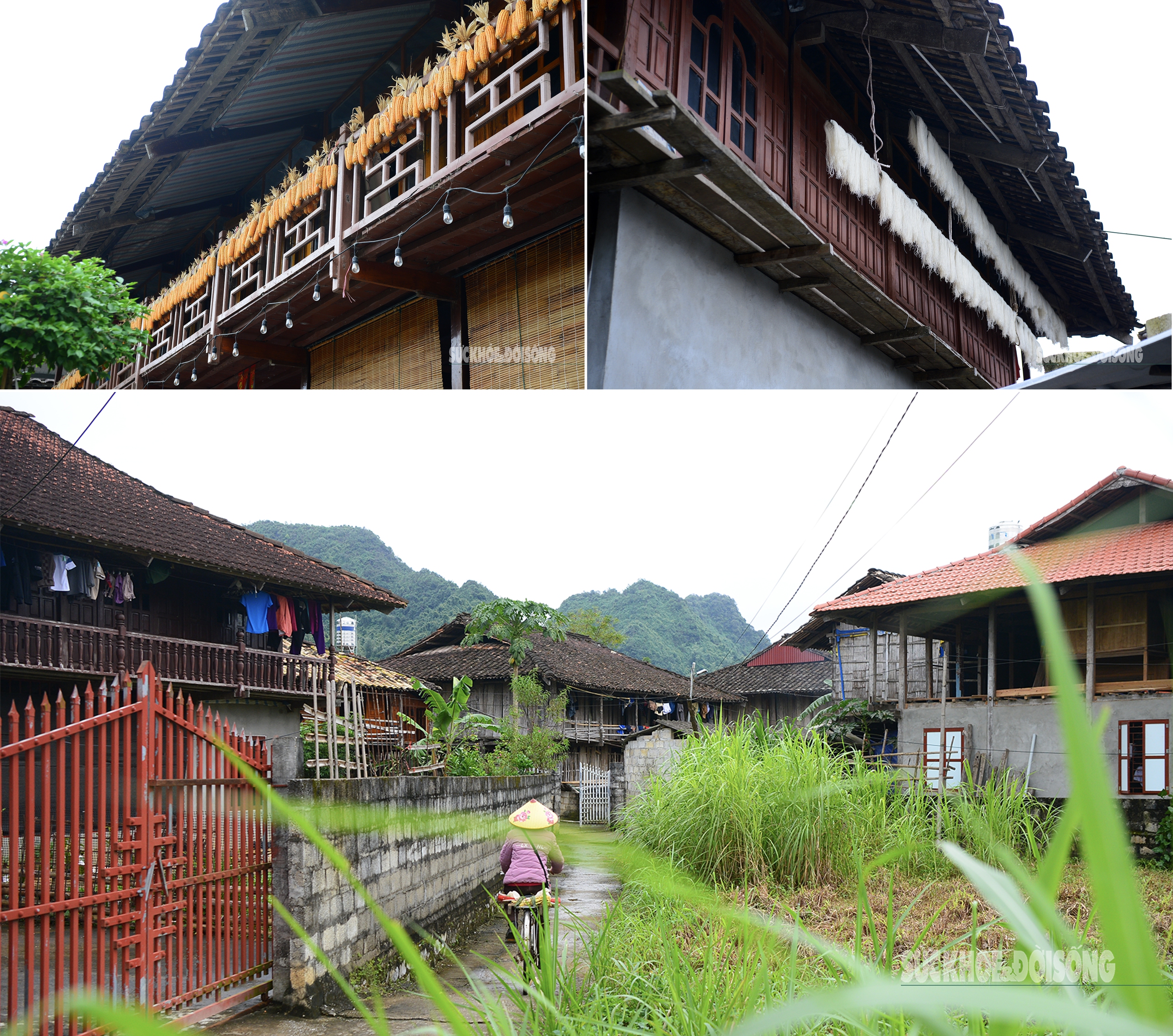 'Làng du lịch tốt nhất thế giới' của người Tày Bắc Sơn có gì?- Ảnh 4.