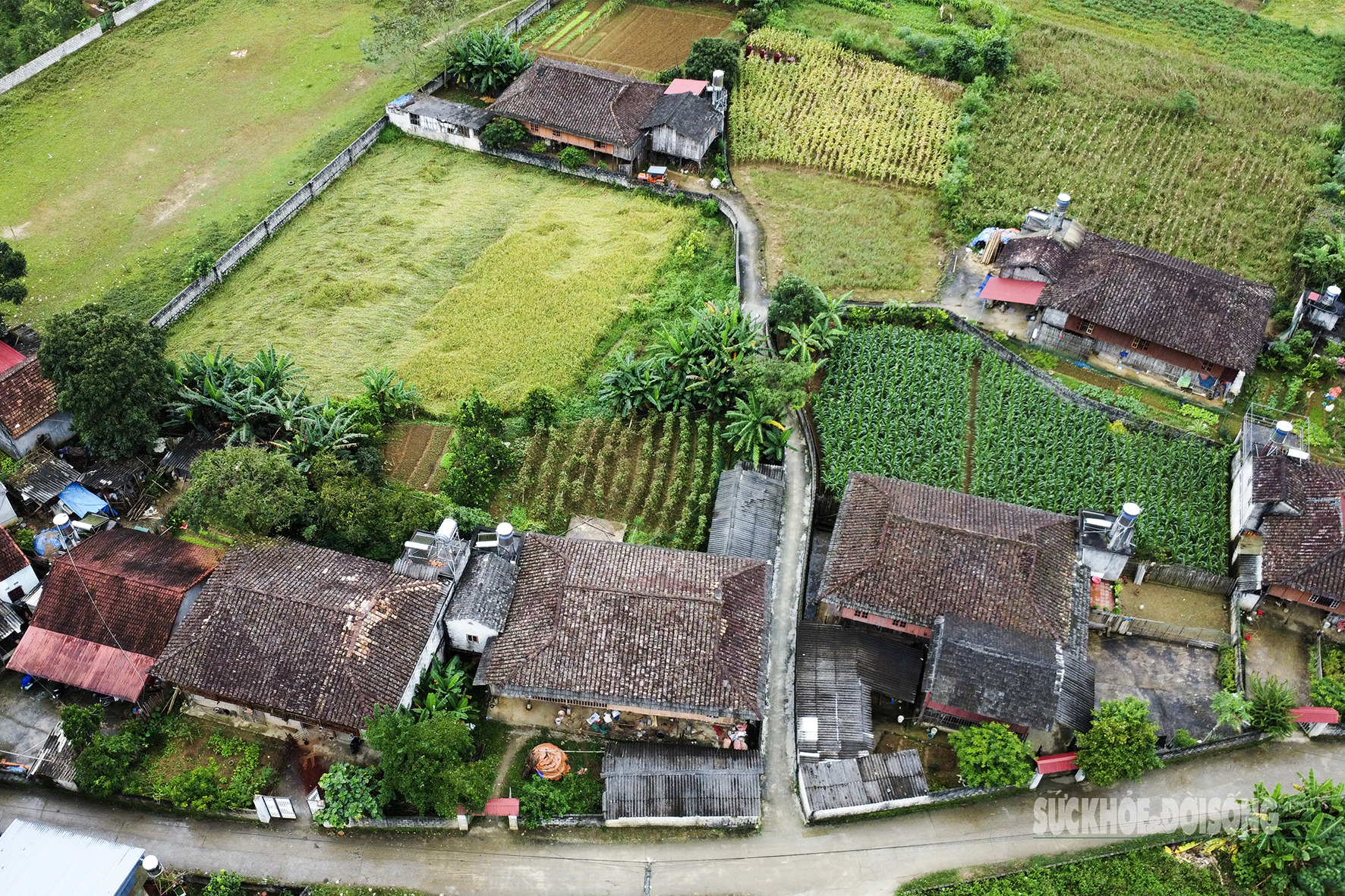 'Làng du lịch tốt nhất thế giới' của người Tày Bắc Sơn có gì?- Ảnh 3.
