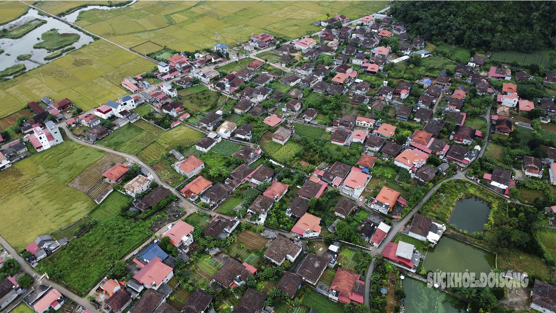 'Làng du lịch tốt nhất thế giới' của người Tày Bắc Sơn có gì?- Ảnh 1.