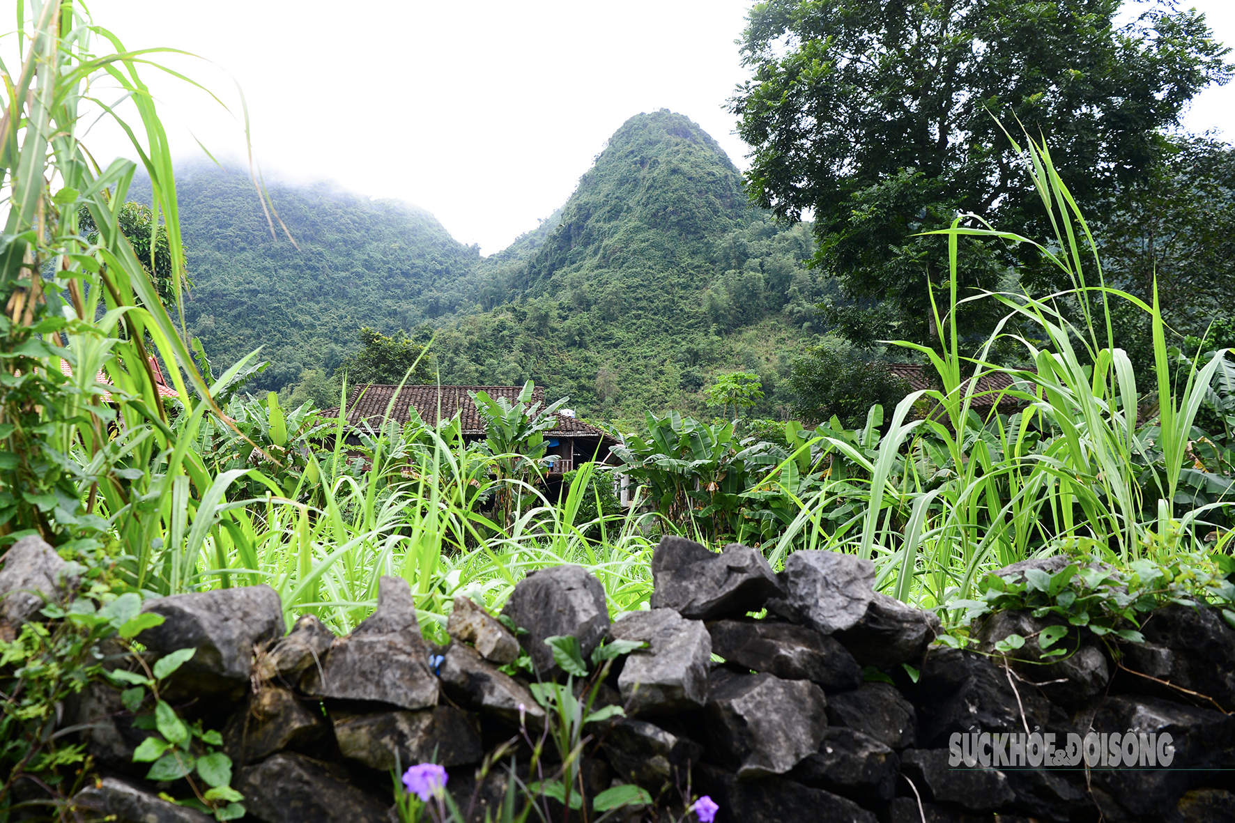 'Làng du lịch tốt nhất thế giới' của người Tày Bắc Sơn có gì?- Ảnh 8.