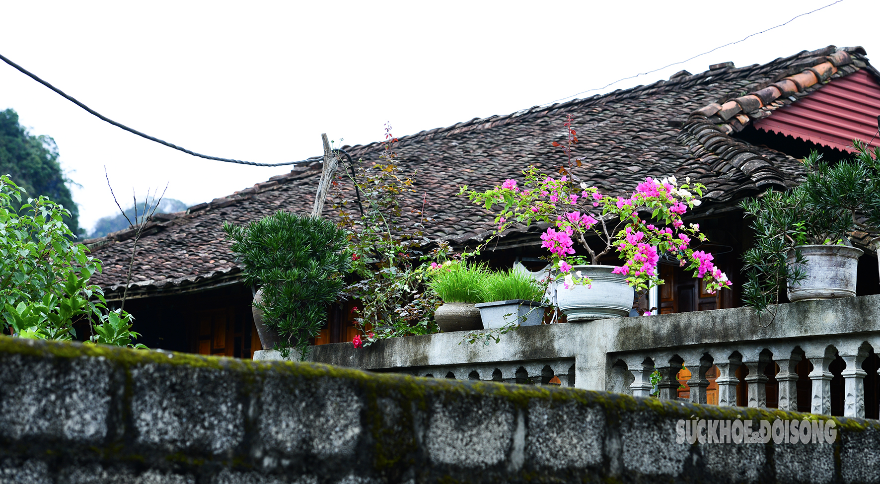 'Làng du lịch tốt nhất thế giới' của người Tày Bắc Sơn có gì?- Ảnh 5.