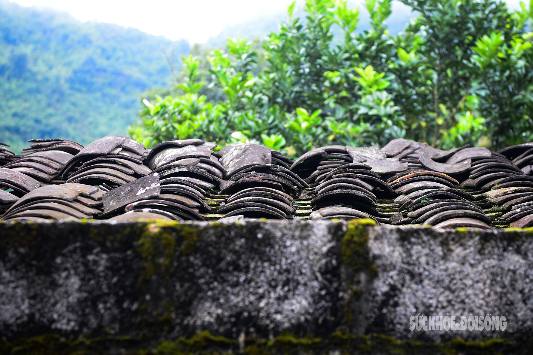 'Làng du lịch tốt nhất thế giới' của người Tày Bắc Sơn có gì?- Ảnh 2.