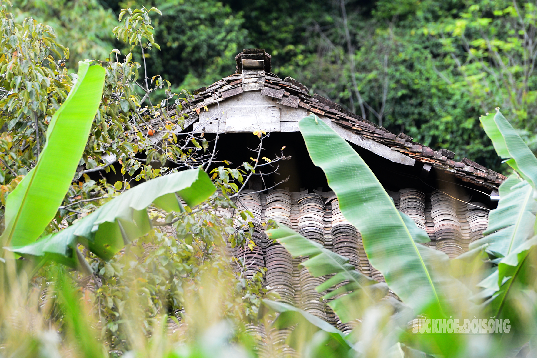 'Làng du lịch tốt nhất thế giới' của người Tày Bắc Sơn có gì?- Ảnh 9.