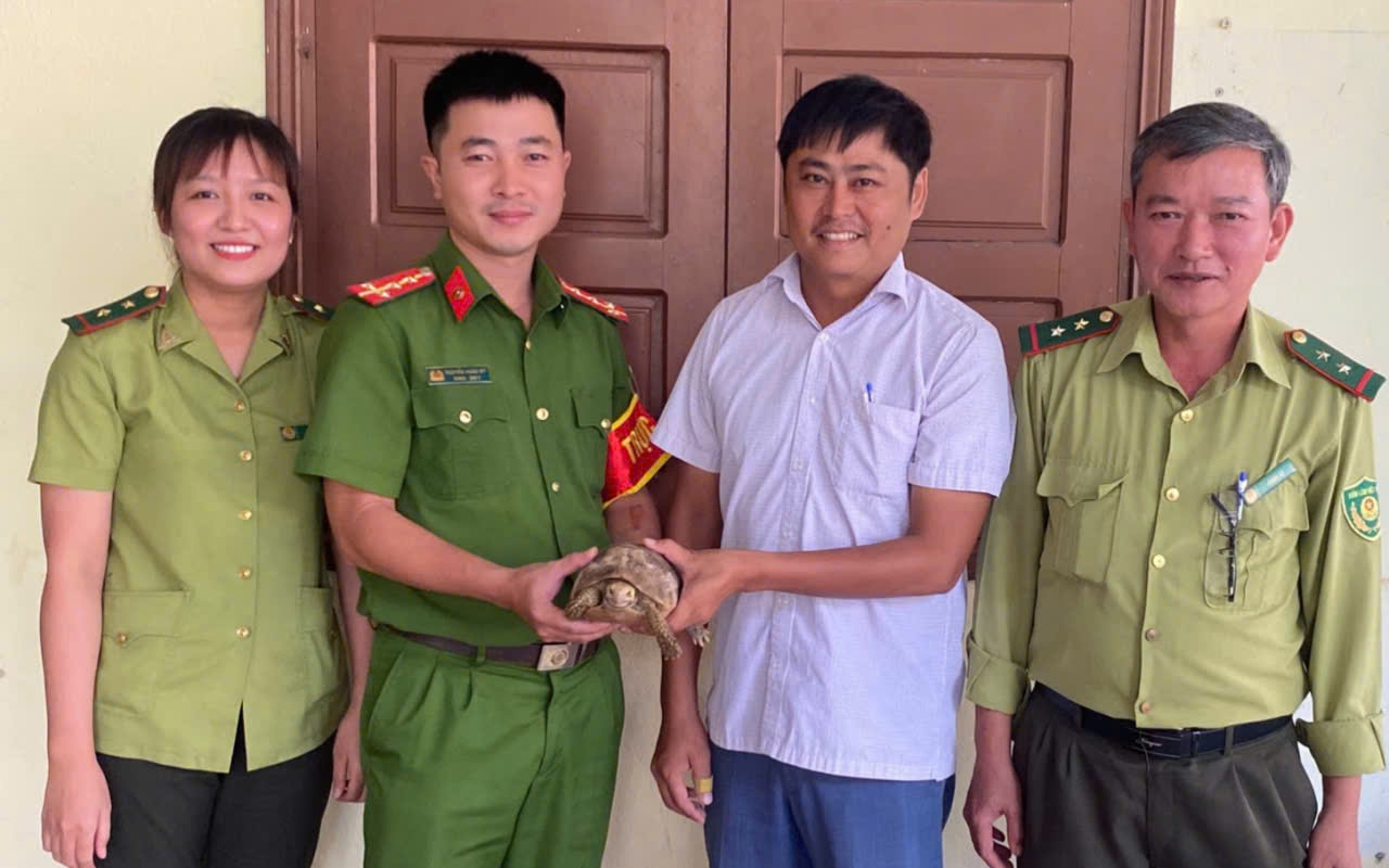 Rùa núi vàng quý hiếm bất ngờ đi lạc vào khuôn viên chùa- Ảnh 2.