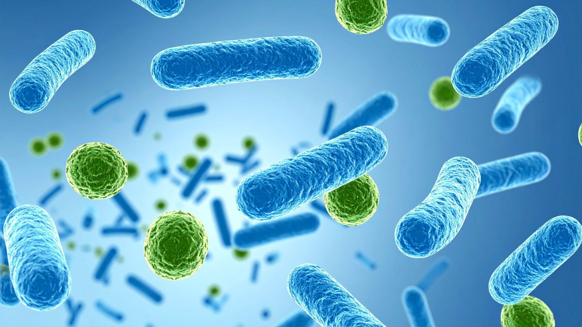 Khi ổ vi khuẩn ngay trong nhà bạn đang âm thầm hủy hoại sức khỏe- Ảnh 1.