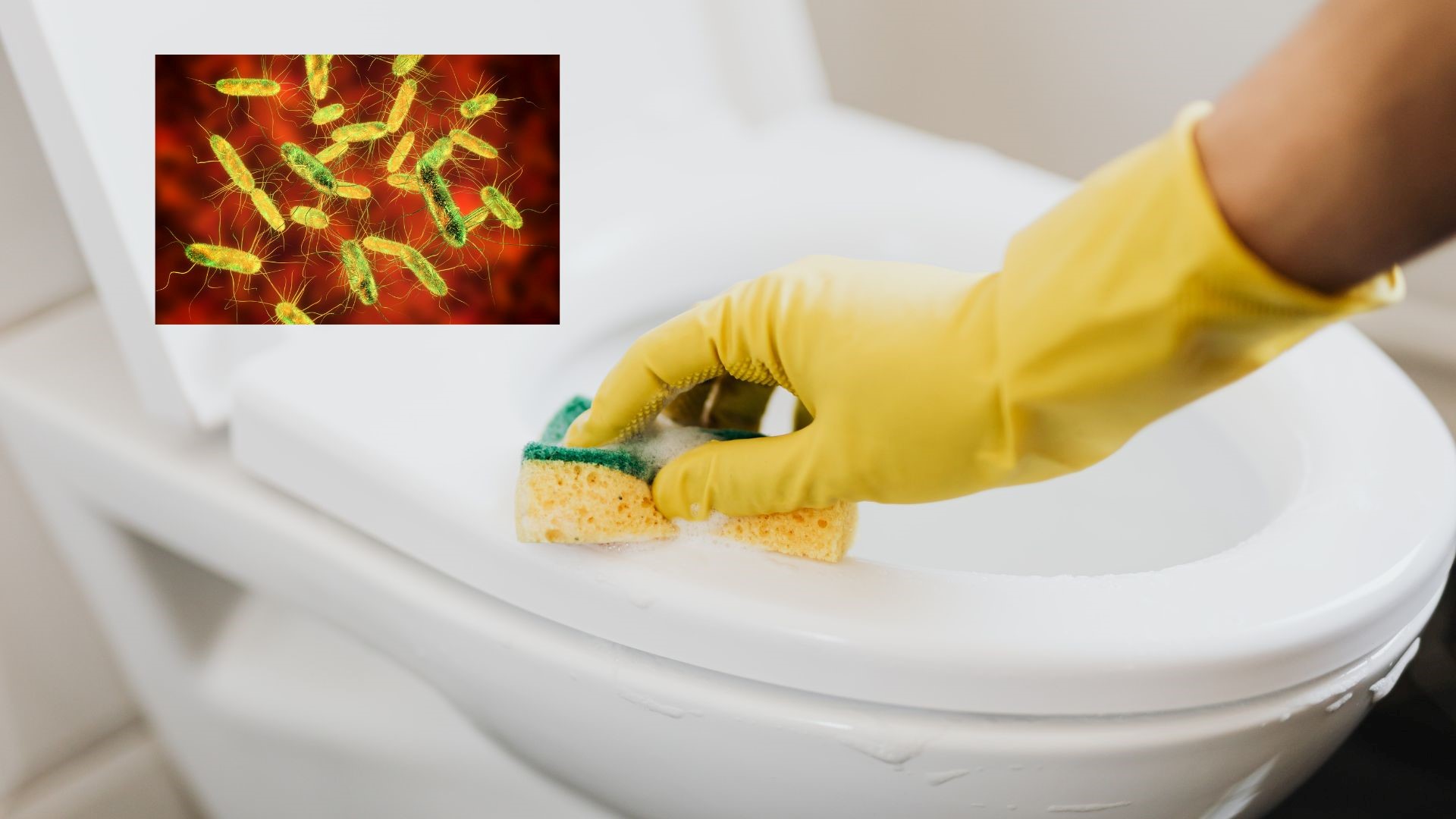 Khi ổ vi khuẩn ngay trong nhà bạn đang âm thầm hủy hoại sức khỏe- Ảnh 2.