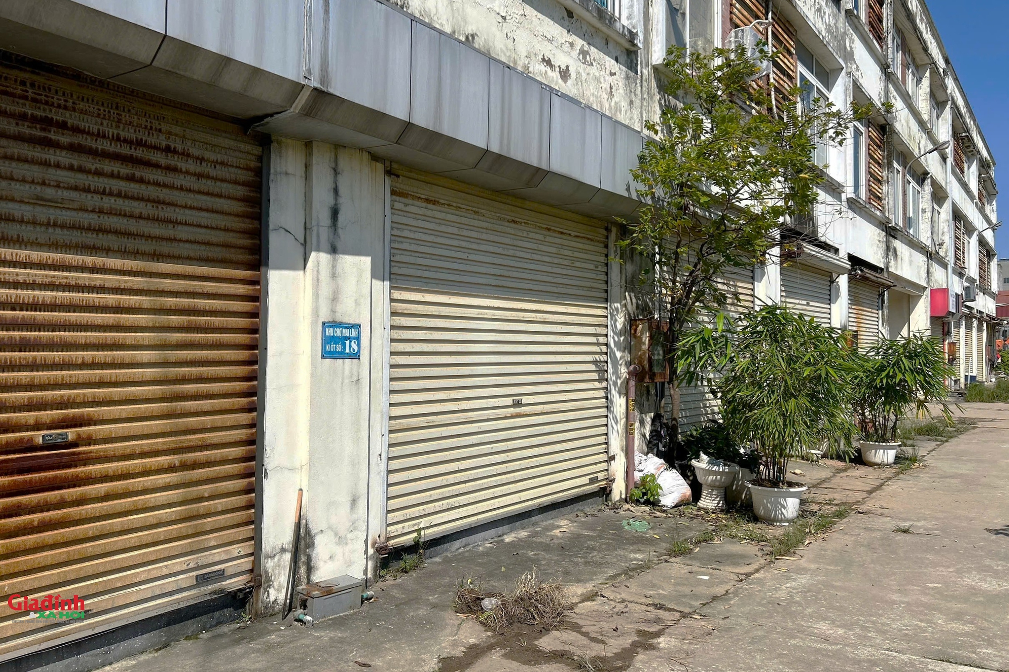 Hà Nội: Hiện trạng khu chợ xây xong rồi bỏ hoang dự kiến được chuyển đổi thành nhà ở xã hội- Ảnh 4. Hà Nội: Hiện trạng khu chợ xây xong rồi bỏ hoang dự kiến được chuyển đổi thành nhà ở xã hội- Ảnh 4.