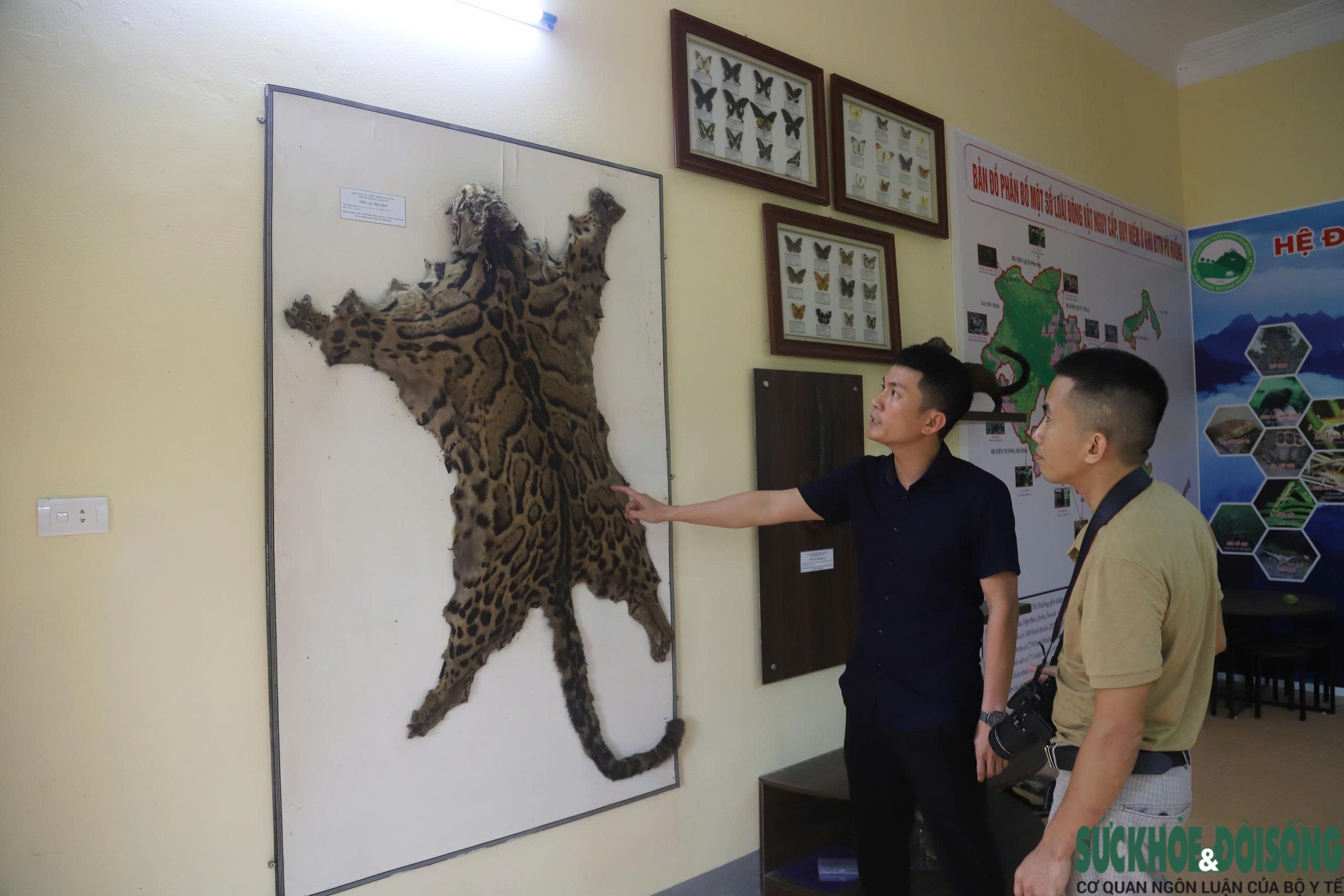 Bên trong bảo tàng lưu giữ nguồn gen quý hiếm của Khu bảo tồn thiên nhiên Pù Huống- Ảnh 4. Bên trong bảo tàng lưu giữ nguồn gen quý hiếm của Khu bảo tồn thiên nhiên Pù Huống- Ảnh 4.