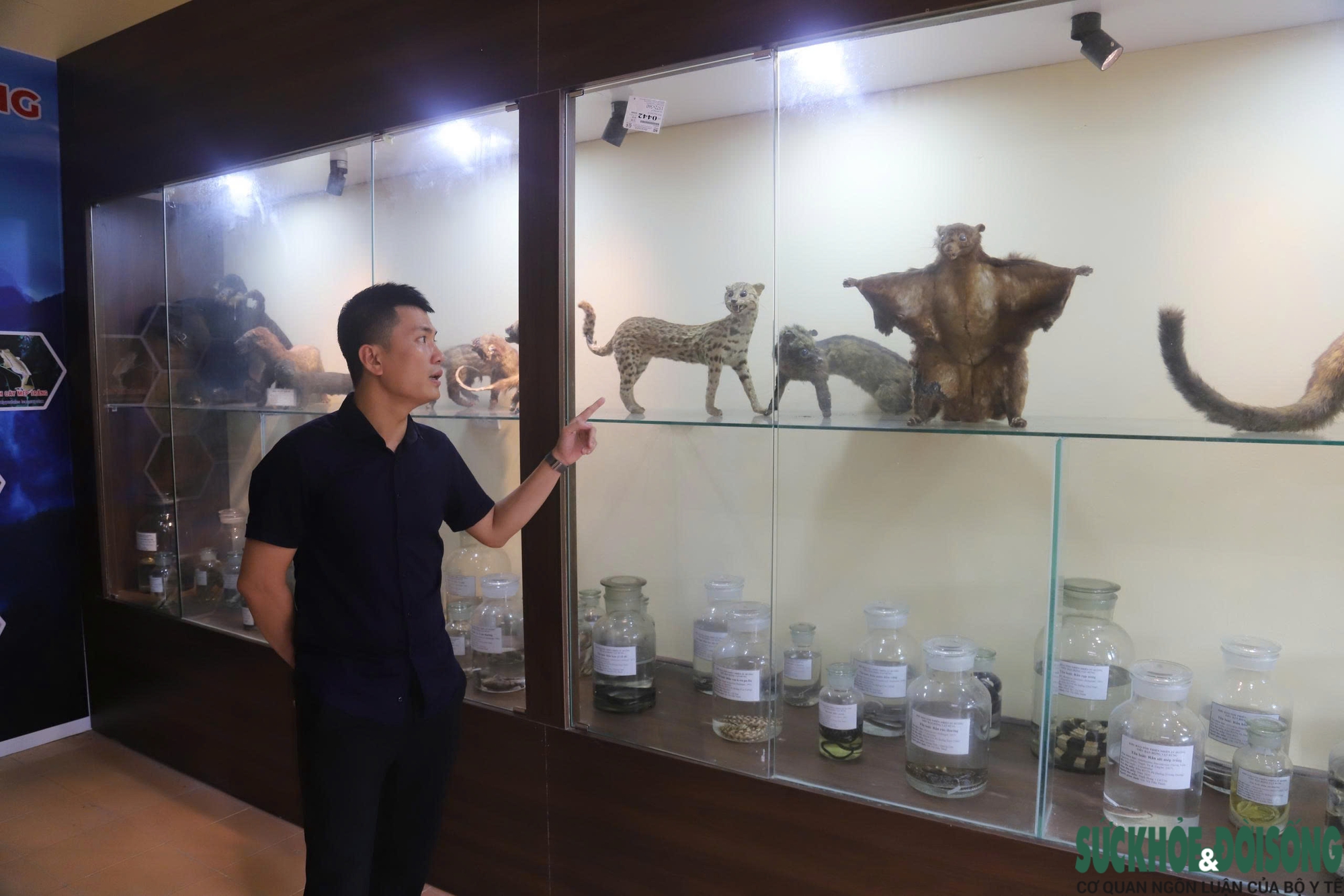 Bên trong bảo tàng lưu giữ nguồn gen quý hiếm của Khu bảo tồn thiên nhiên Pù Huống- Ảnh 5. Bên trong bảo tàng lưu giữ nguồn gen quý hiếm của Khu bảo tồn thiên nhiên Pù Huống- Ảnh 5.