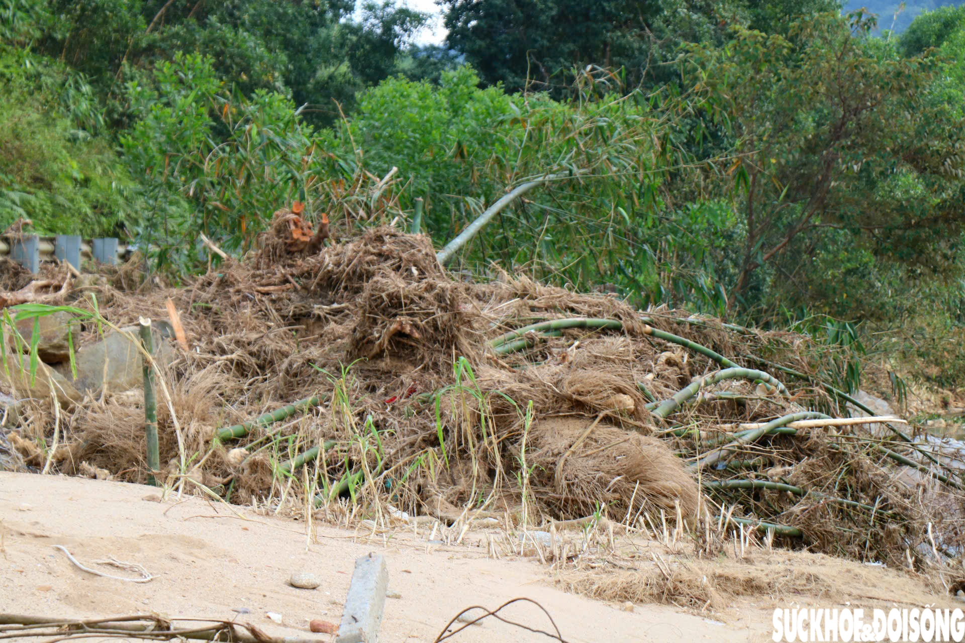 Dòng suối dưới chân Bạch Mã xác xơ sau lũ- Ảnh 11. Dòng suối dưới chân Bạch Mã xác xơ sau lũ- Ảnh 11.