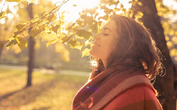 4 loại thực phẩm giàu vitamin D nên bổ sung vào mùa đông