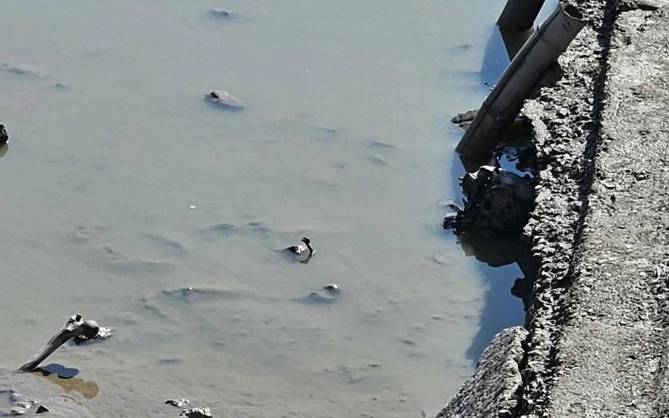 Hải Phòng: Bộ xương người dưới lớp bùn ao đã phân hủy 10 năm- Ảnh 2. Hải Phòng: Phát hiện bộ xương người dưới lớp bùn ao cá