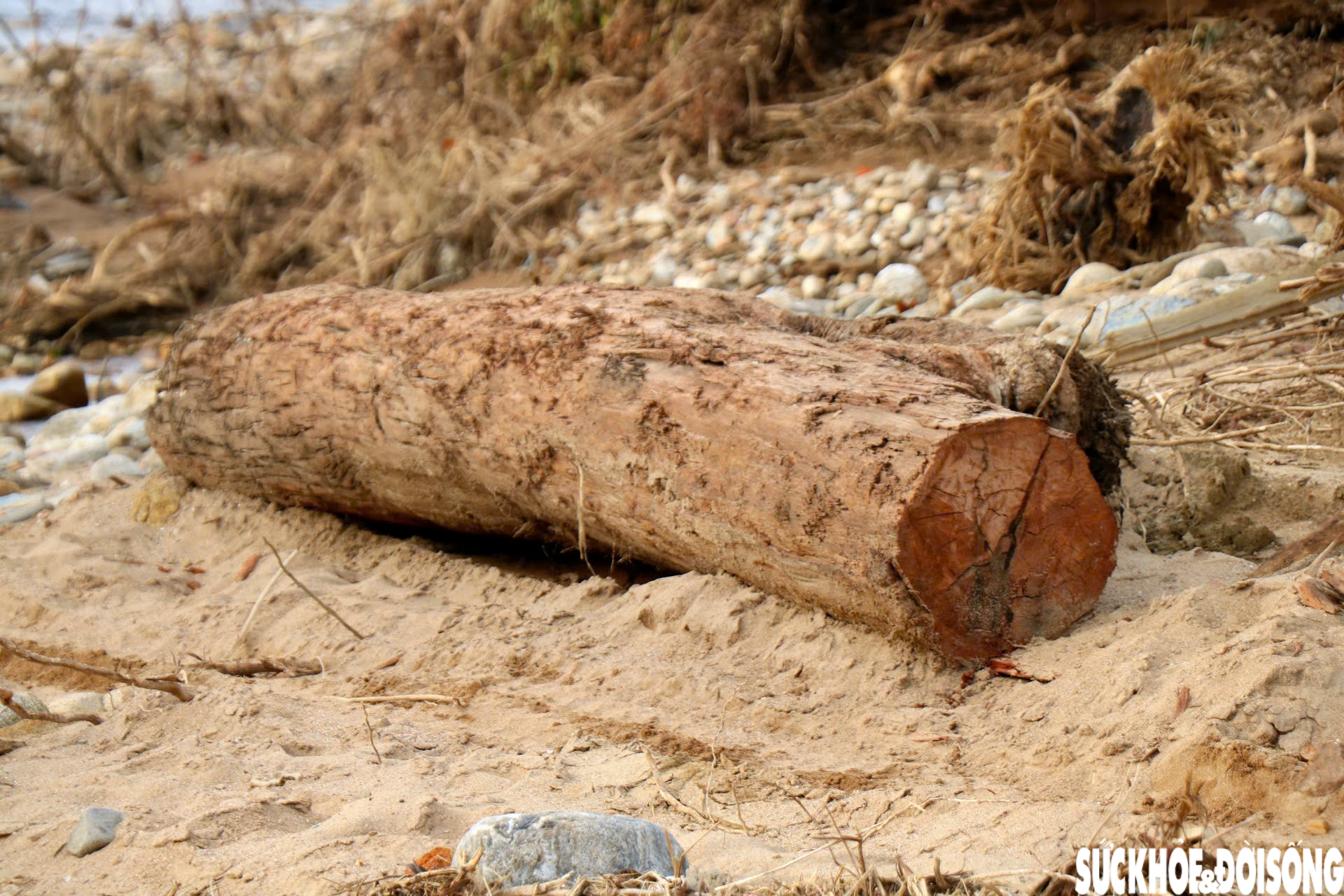 Dòng suối dưới chân Bạch Mã xác xơ sau lũ- Ảnh 8. Dòng suối dưới chân Bạch Mã xác xơ sau lũ- Ảnh 8.