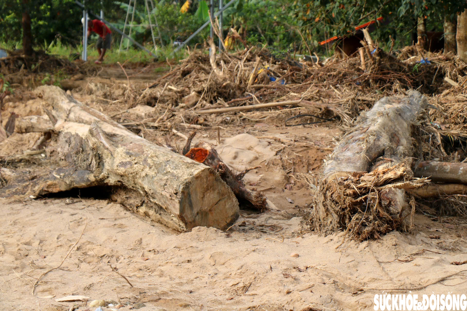 Dòng suối dưới chân Bạch Mã xác xơ sau lũ- Ảnh 9. Dòng suối dưới chân Bạch Mã xác xơ sau lũ- Ảnh 9.