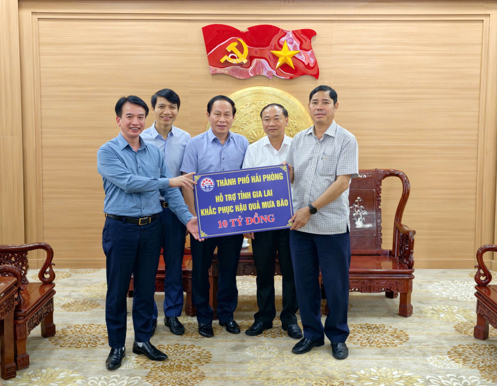 Hải Phòng hỗ trợ người dân Đắc Lắk, Gia Lai khắc phục hậu quả bão số 13- Ảnh 3. Hải Phòng hỗ trợ người dân Đắc Lắk, Gia Lai khắc phục hậu quả bão số 13- Ảnh 3.