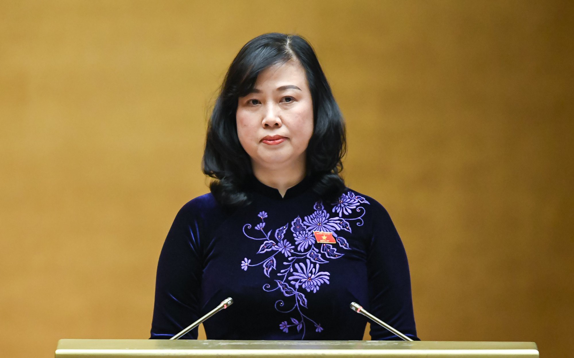 Bộ trưởng Đào Hồng Lan: Khẳng định vị thế của khoa học công nghệ và giáo dục y học Việt Nam trên thế giới- Ảnh 10. Bộ trưởng Đào Hồng Lan: Khẳng định vị thế của khoa học công nghệ và giáo dục y học Việt Nam trên thế giới- Ảnh 10.