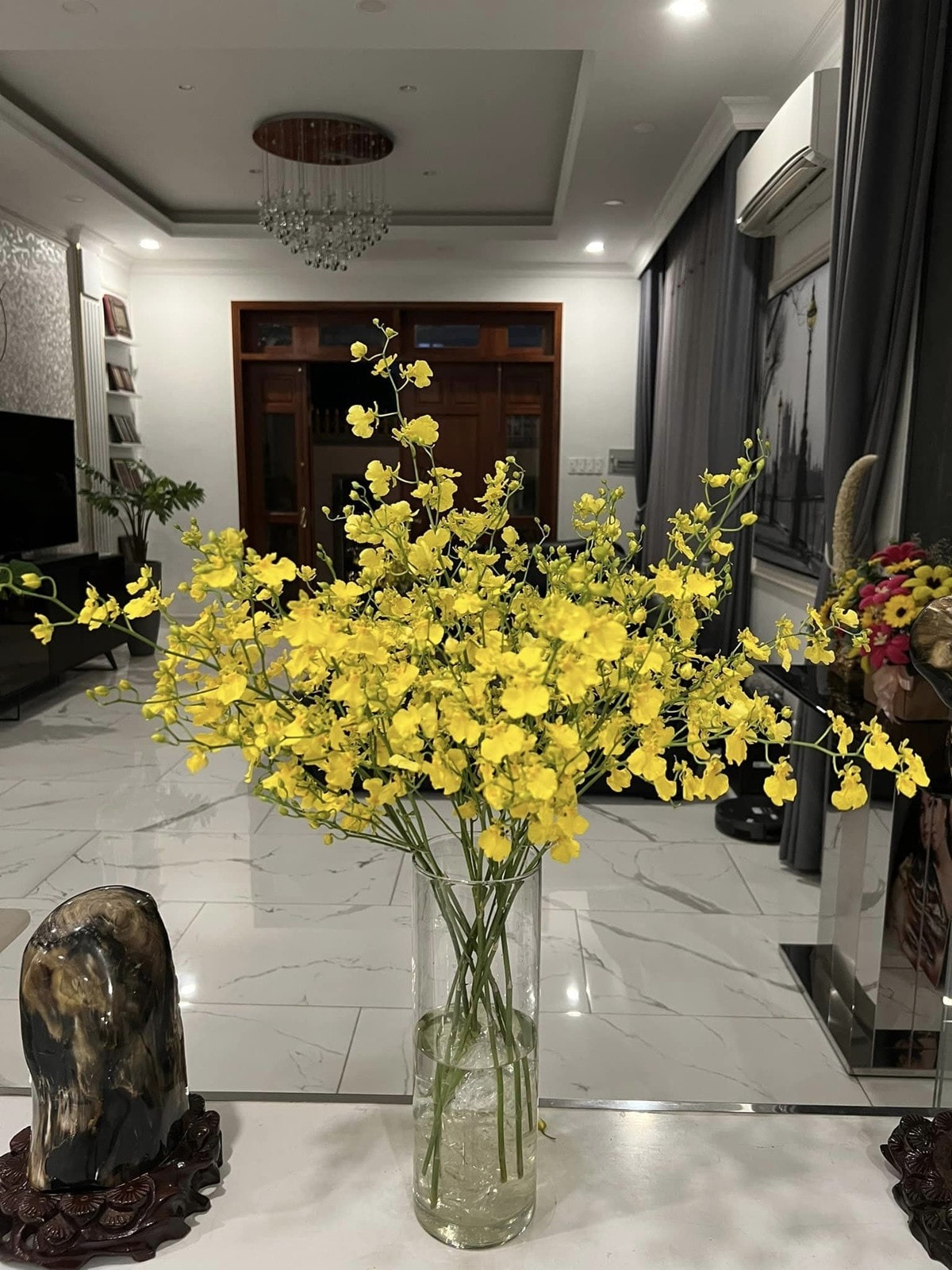 Từng òa khóc khi chia sẻ về biến cố bệnh tật, 'Nữ hoàng dân ca' Việt hiện sống ra sao?- Ảnh 8. Từng òa khóc khi chia sẻ về biến cố bệnh tật, 'Nữ hoàng dân ca' Việt hiện sống ra sao?- Ảnh 8.