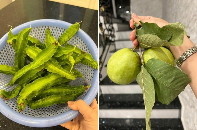 Từng òa khóc khi chia sẻ về biến cố bệnh tật, 'Nữ hoàng dân ca' Việt hiện sống ra sao?- Ảnh 14. Từng òa khóc khi chia sẻ về biến cố bệnh tật, 'Nữ hoàng dân ca' Việt hiện sống ra sao?- Ảnh 14.