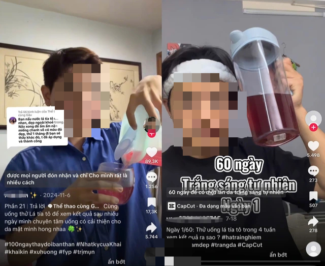 Tác dụng của lá tía tô vào mùa lạnh và 4 nhóm người cần lưu ý- Ảnh 1. Tác dụng của lá tía tô vào mùa lạnh và 4 nhóm người cần lưu ý- Ảnh 1.