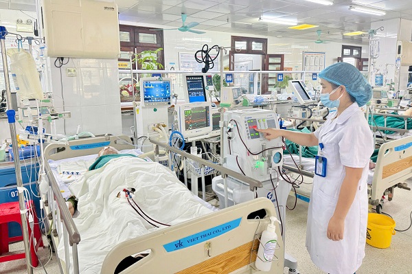 Cấp cứu, điều trị thành công bệnh nhân suy đa tạng do ong vò vẽ đốt- Ảnh 1. Cấp cứu, điều trị thành công bệnh nhân suy đa tạng do ong vò vẽ đốt- Ảnh 1.