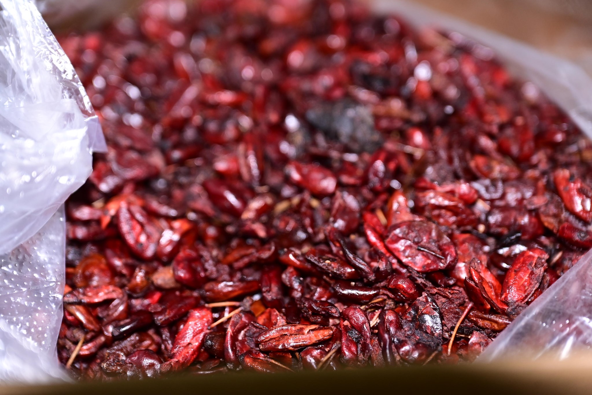 Lừa bán thuốc đông y giả chữa xương khớp, 2 phụ nữ bị tạm giữ hình sự- Ảnh 1.