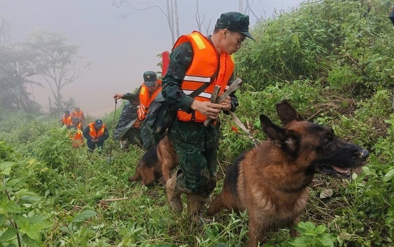 Nhận biết các dấu hiệu nguy hiểm báo trước sạt lở nghiêm trọng- Ảnh 3. Đà Nẵng: Sử dụng chó nghiệp vụ tìm kiếm nạn nhân vụ sạt lở đất ở Hùng Sơn