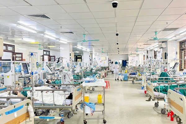 Cấp cứu, điều trị thành công bệnh nhân suy đa tạng do ong vò vẽ đốt- Ảnh 2. Cấp cứu, điều trị thành công bệnh nhân suy đa tạng do ong vò vẽ đốt- Ảnh 2.