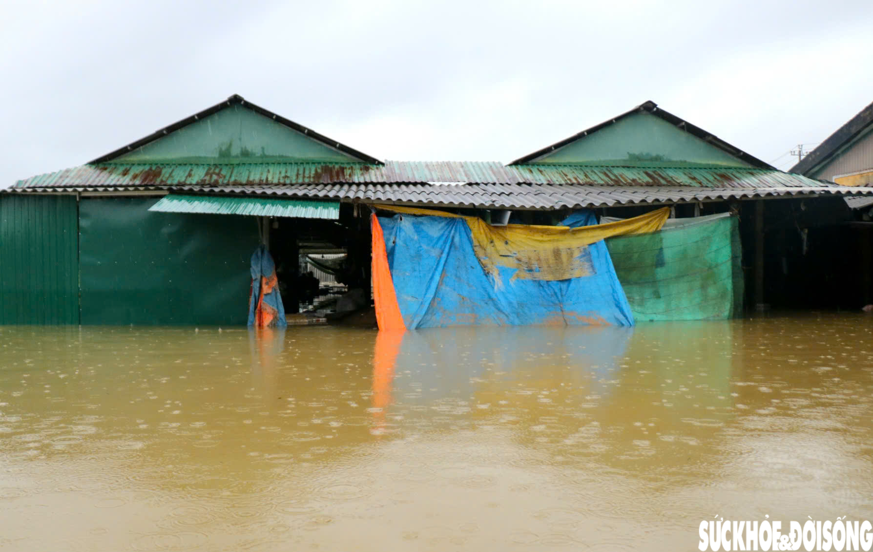 Lũ dữ tràn về lúc rạng sáng, tiểu thương khóc nghẹn nhìn gia tài bị nhấn chìm- Ảnh 5. Lũ dữ tràn về lúc rạng sáng, tiểu thương khóc nghẹn nhìn gia tài bị nhấn chìm- Ảnh 5.