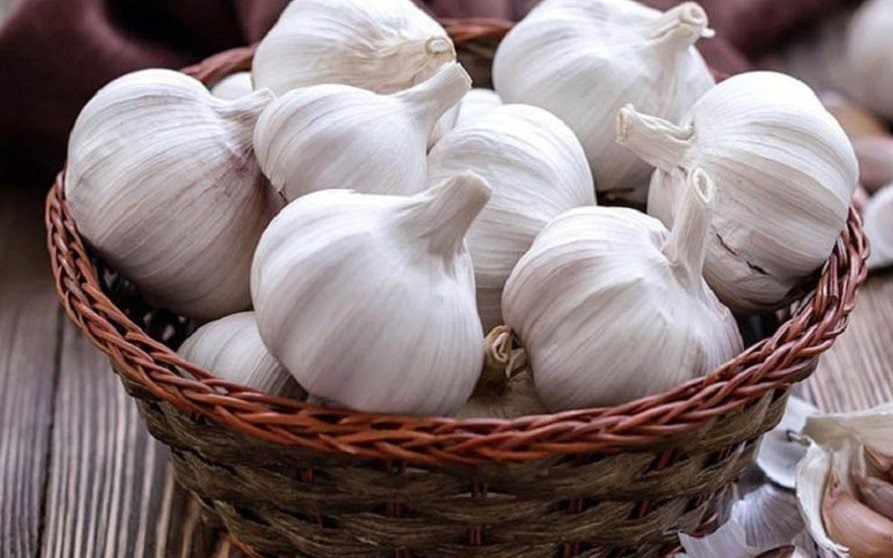 Ai nên chủ động tiêm phòng vaccine cúm hằng năm?- Ảnh 2.